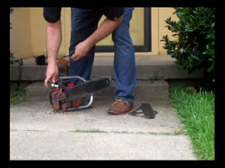 Hillary For President, Beware of the Dog