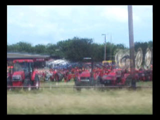 Hillary For President, Beware of the Dog