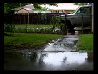 Hillary For President, Beware of the Dog